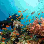 The Best Spots For Scuba Diving